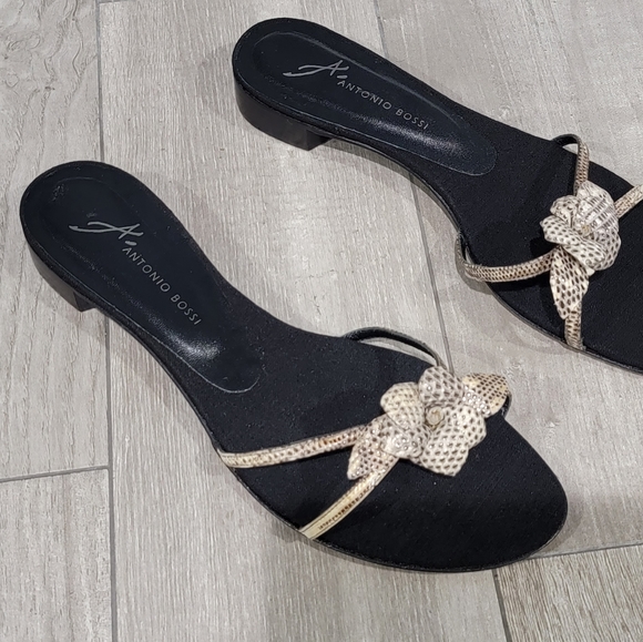 Nwob Antonio Bossi reptile slides 11M - Picture 1 of 6